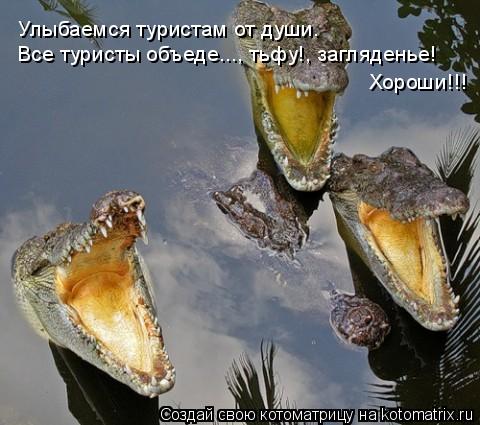 Все туристы объеде..., тьфу!, загляденье! Улыбаемся туристам от души. Хороши!!!... Котоматрица: Все туристы объеде..., тьфу!, загляденье! Улыбаемся туристам от души. Хороши!!!