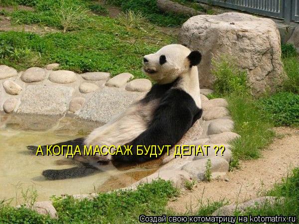 А КОГДА МАССАЖ БУДУТ ДЕЛАТ ??... Котоматрица: А КОГДА МАССАЖ БУДУТ ДЕЛАТ ??