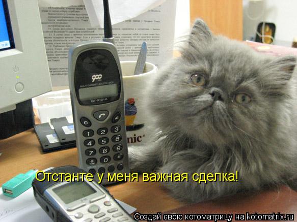 Отстанте у меня важная сделка!... Котоматрица: Отстанте у меня важная сделка!