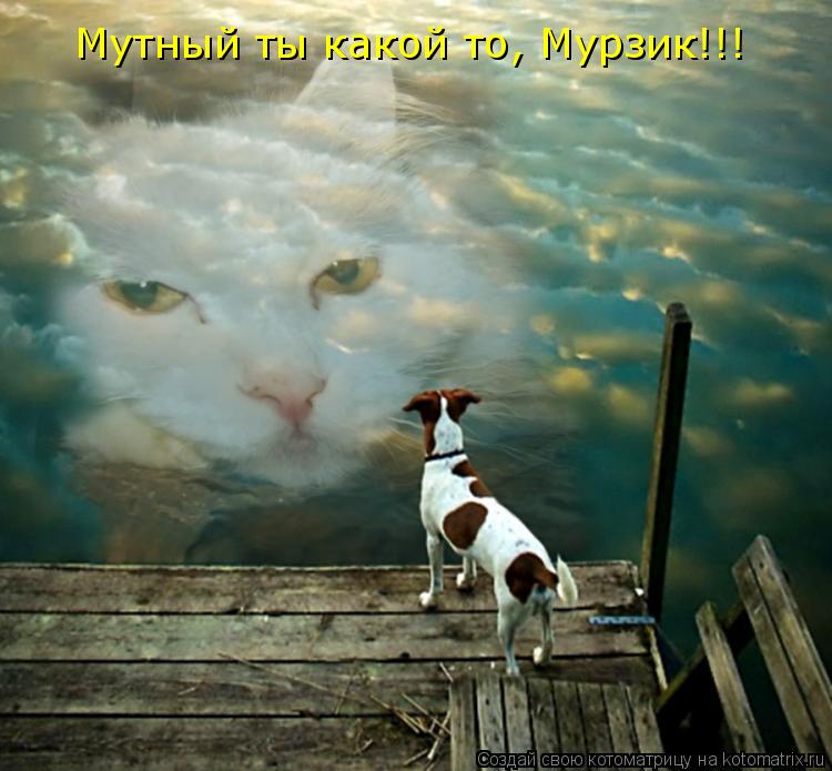 Мутный ты какой то, Мурзик!!!... Котоматрица: Мутный ты какой то, Мурзик!!!