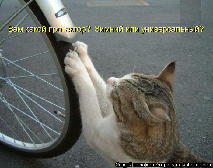 Вам какой протектор? Зимний или универсальный?... Котоматрица: Вам какой протектор? Зимний или универсальный?