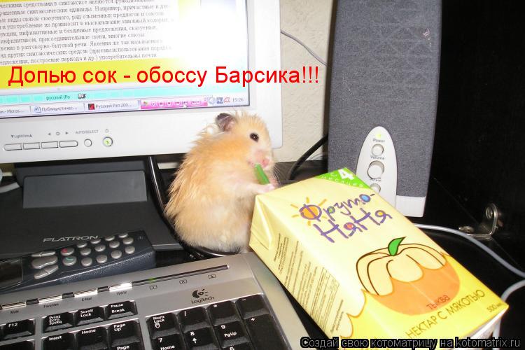 Допью сок - обоссу Барсика!!!... Котоматрица: Допью сок - обоссу Барсика!!!