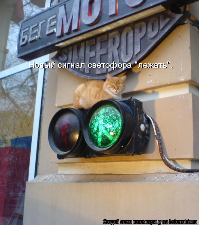 Новый сигнал светофора "лежать".... Котоматрица: Новый сигнал светофора "лежать".