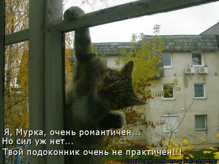 Я, Мурка, очень романтичен... Но сил уж нет... Твой подоконник очень не практичен!!!... Котоматрица: Я, Мурка, очень романтичен... Но сил уж нет... Твой подоконник очень не практичен!!!