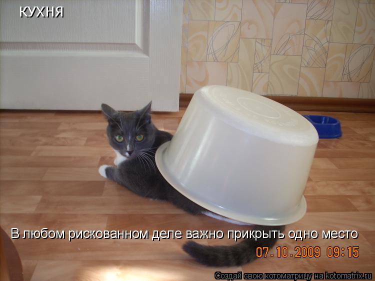 В любом рискованном деле важно прикрыть одно место КУХНЯ... Котоматрица: В любом рискованном деле важно прикрыть одно место КУХНЯ