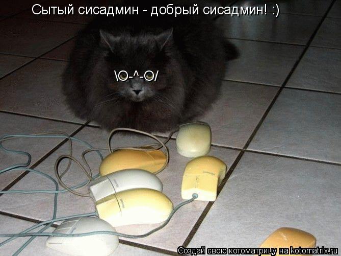 Котоматрица: О-^-О/ Сытый сисадмин - добрый сисадмин! :)