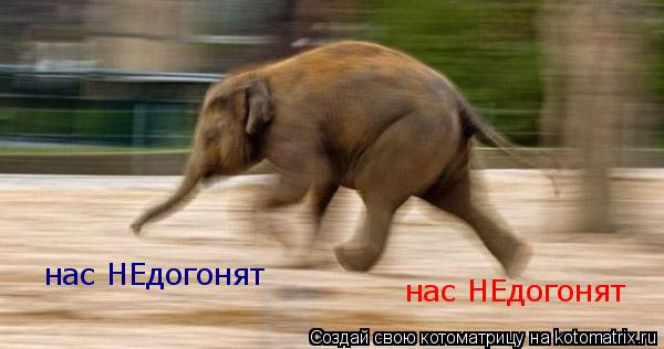Котоматрица: нас НЕдогонят нас НЕдогонят