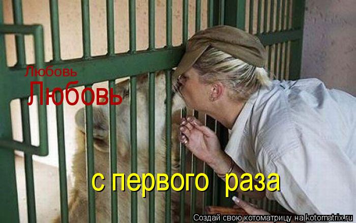Котоматрица: Любовь Любовь с первого  раза