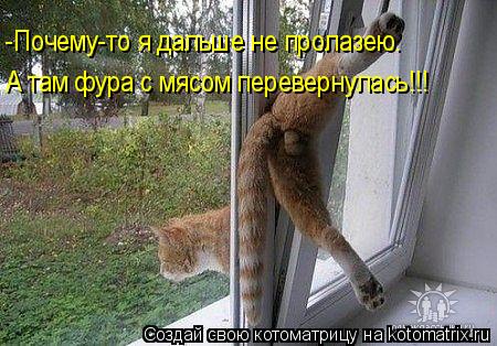 -Почему-то я дальше не пролазею. А там фура с мясом перевернулась!!!... Котоматрица: -Почему-то я дальше не пролазею. А там фура с мясом перевернулась!!!