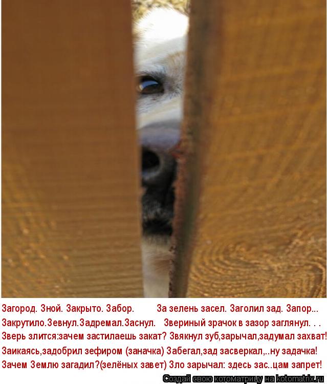 Котоматрица: Загород. Зной. Закрыто. Забор.         За зелень засел. Заголил зад. Запор... Зачем Землю загадил?(зелёных завет) Зло зарычал: здесь зас..цам запрет