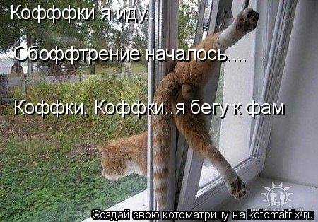 Кофффки я иду... Обоффтрение началось.... Обоффтрение началось.... Коффки, Коффки..я бегу к фам... Котоматрица: Кофффки я иду... Обоффтрение началось.... Обоффтрение началось.... Коффки, Коффки..я бегу к фам