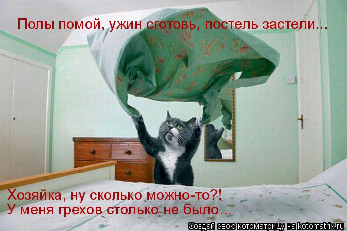 Полы помой, ужин сготовь, постель застели... Хозяйка, ну сколько можно-то?! У меня грехов столько не ... Котоматрица: Полы помой, ужин сготовь, постель застели... Хозяйка, ну сколько можно-то?! У меня грехов столько не было...