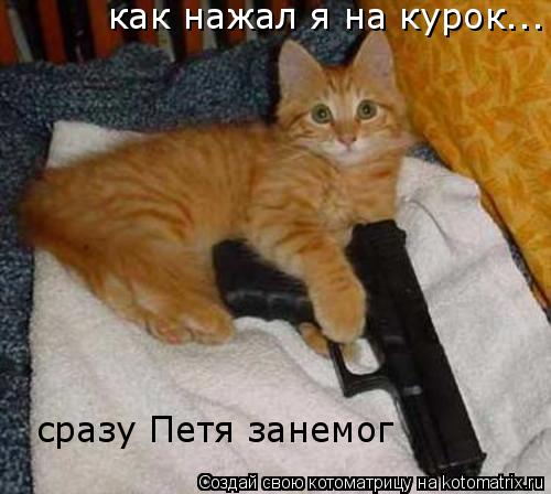 как нажал я на курок... сразу Петя занемог... Котоматрица: как нажал я на курок... сразу Петя занемог