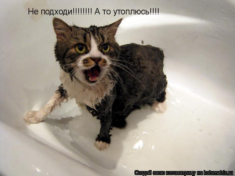 Котоматрица: Не подходи!!!!!!!! А то утоплюсь!!!!