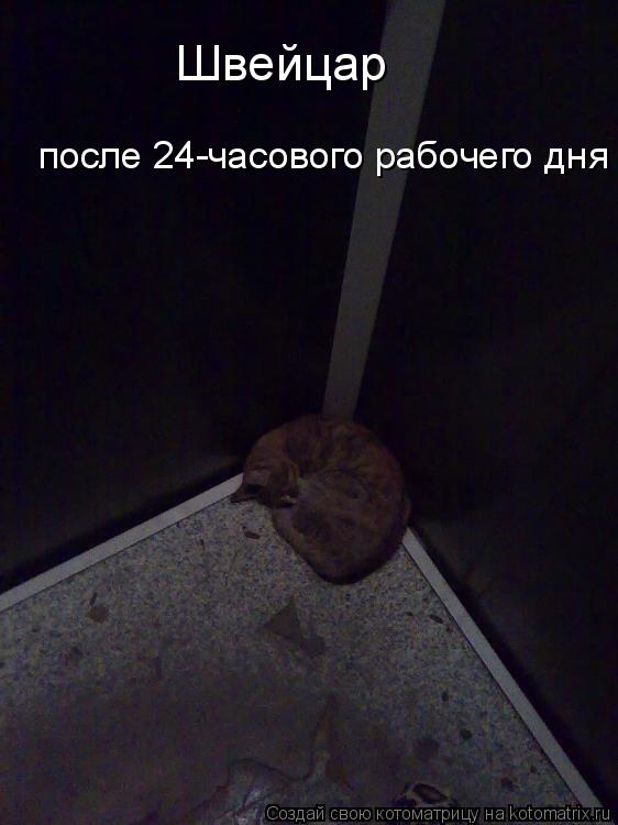 Котоматрица: Швейцар  после 24-часового рабочего дня
