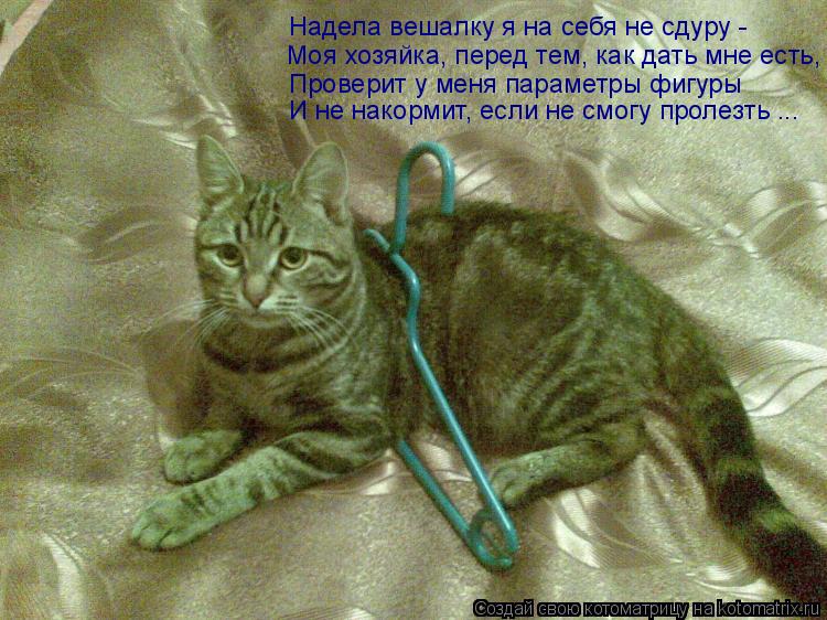 Моя хозяйка, перед тем, как дать мне есть, Надела вешалку я на себя не сдуру - Проверит у меня параме... Котоматрица: Моя хозяйка, перед тем, как дать мне есть, Надела вешалку я на себя не сдуру - Проверит у меня параметры фигуры И не накормит, если не смогу пр