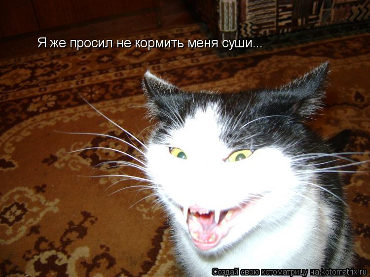 Котоматрица: Я же просил не кормить меня суши...