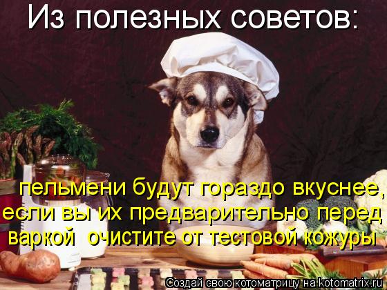 Из полезных советов: пельмени будут гораздо вкуснее, если вы иx предварительно перед варкой очист... Котоматрица: Из полезных советов: пельмени будут гораздо вкуснее, если вы иx предварительно перед варкой очистите от тестовой кожуры варкой очистите