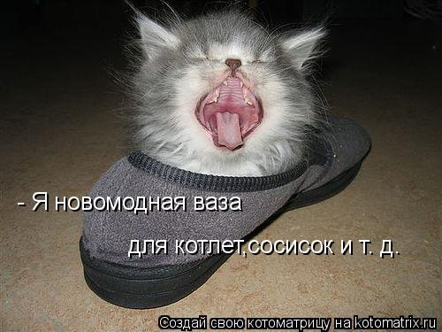 Котоматрица: - Я новомодная ваза  для котлет,сосисок и т. д.