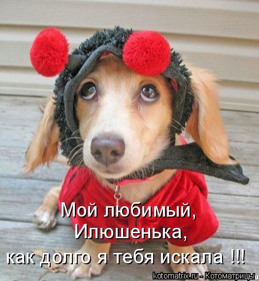 Мой любимый, Илюшенька, как долго я тебя искала !!! как долго я тебя искала !!!... Котоматрица: Мой любимый, Илюшенька, как долго я тебя искала !!! как долго я тебя искала !!!