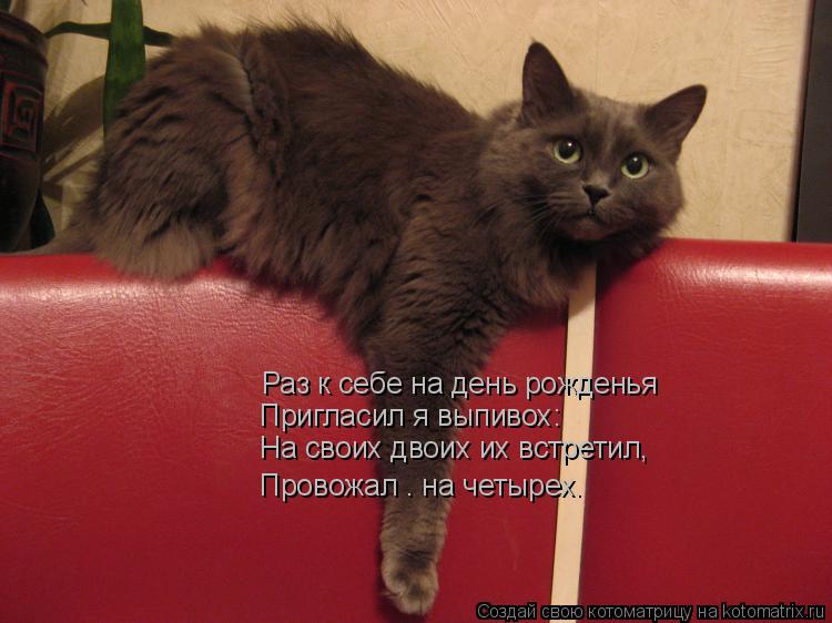 Котоматрица: Раз к себе на день рожденья На своих двоих их встретил, Провожал – на четырех. Пригласил я выпивох: