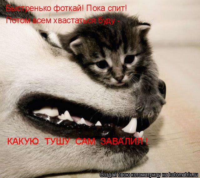 Котоматрица: Быстренько фоткай! Пока спит! Потом всем хвастаться буду -  КАКУЮ  ТУШУ  САМ  ЗАВАЛИЛ !