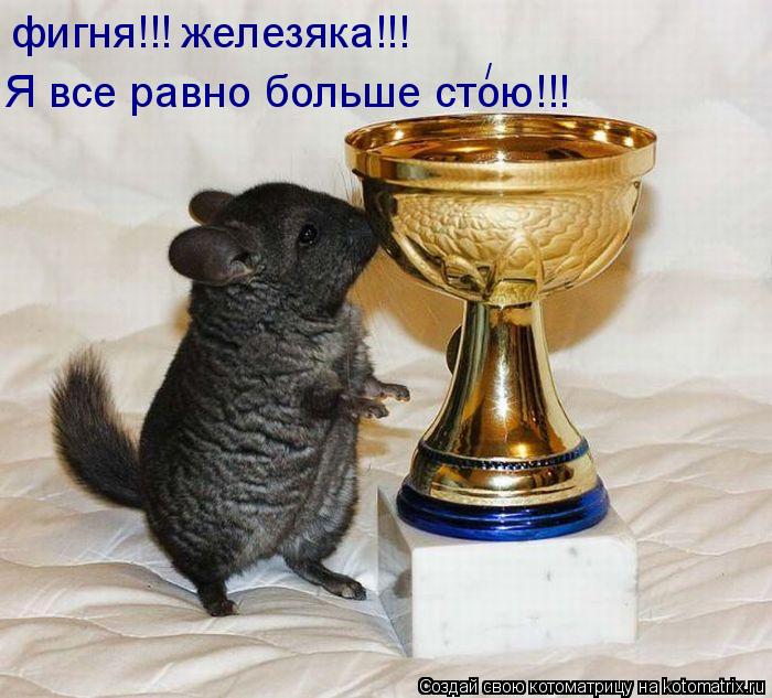 Котоматрица: фигня!!! железяка!!! Я все равно больше стою!!! /