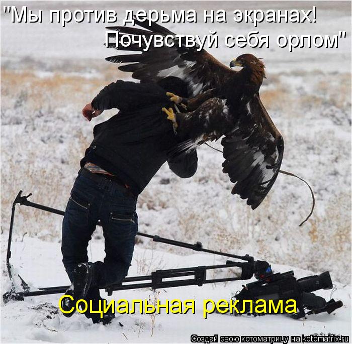 Котоматрица: Социальная реклама "Мы против дерьма на экранах!  Почувствуй себя орлом"
