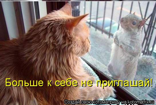 Котоматрица: Больше к себе не приглашай!