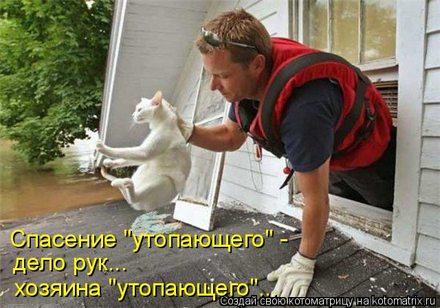 Котоматрица: Спасение "утопающего" - дело рук... хозяина "утопающего"...