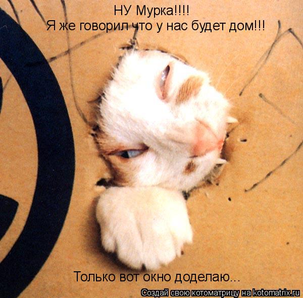 Котоматрица: НУ Мурка!!!! Я же говорил что у нас будет дом!!! Только вот окно доделаю...