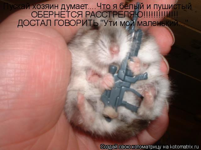 Котоматрица: Пускай хозяин думает....Что я белый и пушистый ОБЕРНЕТСЯ РАССТРЕЛЯЮ!!!!!!!!!!!!!! ДОСТАЛ ГОВОРИТЬ "Ути мой маленький..."