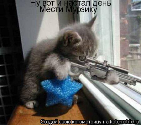 Котоматрица: Ну вот и настал день Мести Мурзику