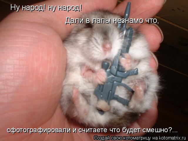 Котоматрица: Ну народ! ну народ! Дали в лапы незнамо что, сфотографировали и считаете что будет смешно?...