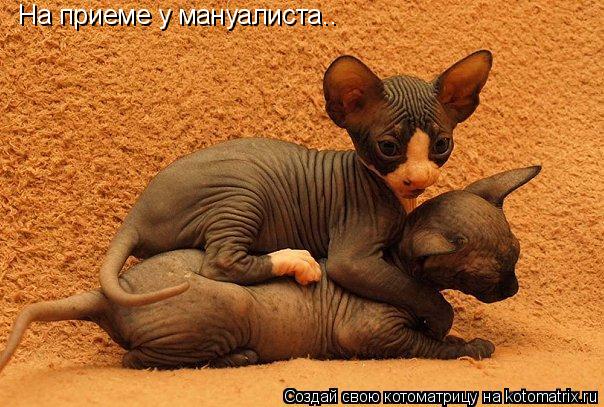 Котоматрица: На приеме у мануалиста..