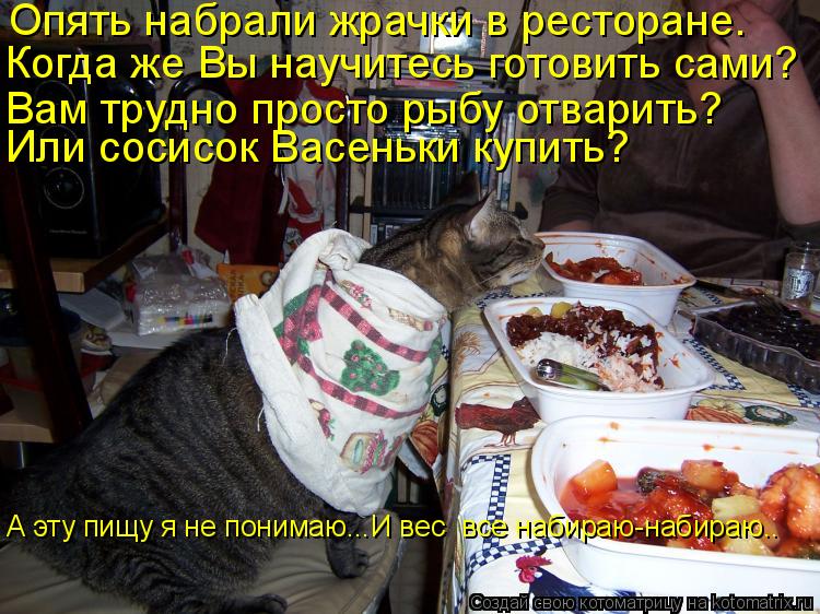 Опять набрали жрачки в ресторане. Когда же Вы научитесь готовить сами? Вам трудно просто рыбу отвари... Котоматрица: Опять набрали жрачки в ресторане. Когда же Вы научитесь готовить сами? Вам трудно просто рыбу отварить? Или сосисок Васеньки купить? А эту