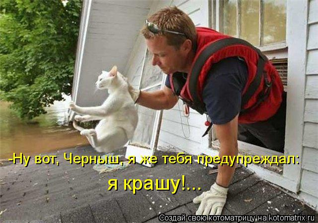 Котоматрица: -Ну вот, Черныш, я же тебя предупреждал: я крашу!...