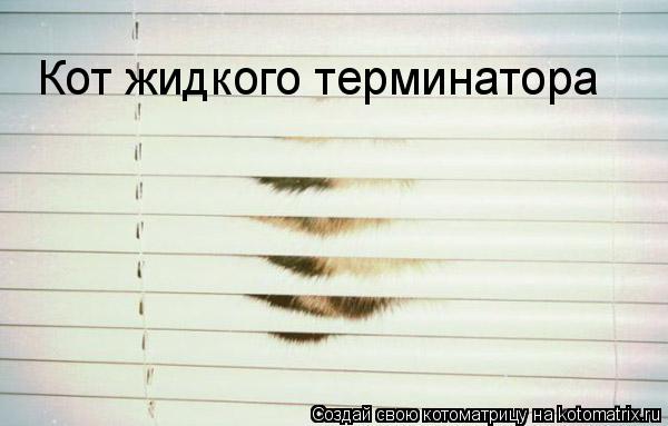Котоматрица: Кот жидкого терминатора