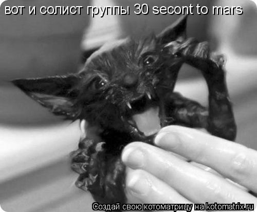 Котоматрица: вот и солист группы 30 secont to mars