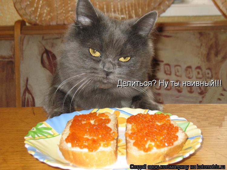 Котоматрица: Делиться? Ну ты наивный!!!