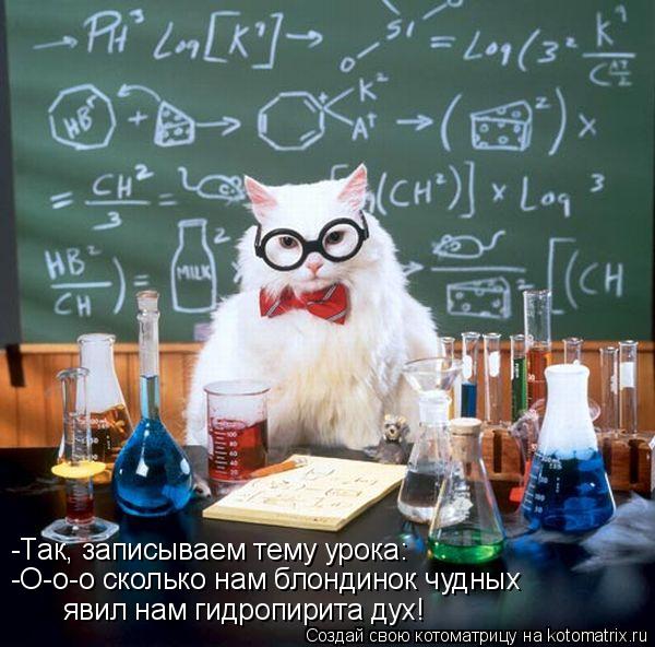 Котоматрица: -Так, записываем тему урока: -О-о-о сколько нам блондинок чудных явил нам гидропирита дух!