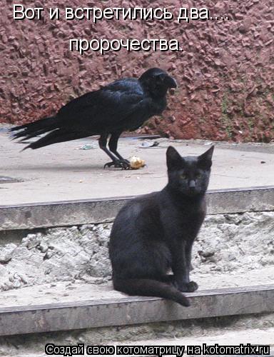 Вот и встретились два.... пророчества.... Котоматрица: Вот и встретились два.... пророчества.