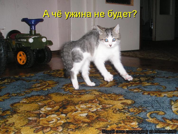 Котоматрица: А чё ужина не будет?