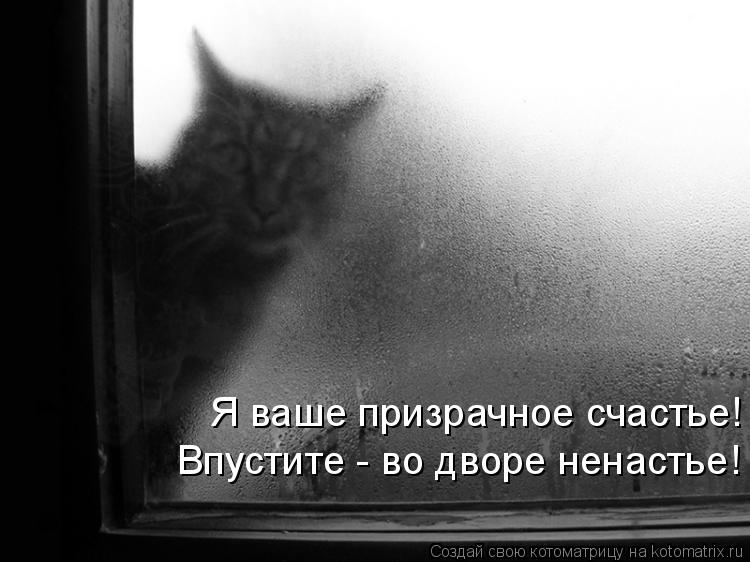Котоматрица: Я ваше призрачное счастье!  Впустите - во дворе ненастье!