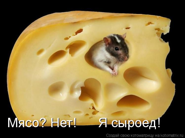 Мясо? Нет! Я сыроед!... Котоматрица: Мясо? Нет! Я сыроед!