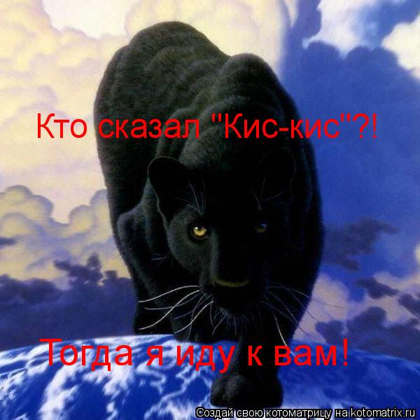 Котоматрица: Кто сказал "Кис-кис"?! Тогда я иду к вам!