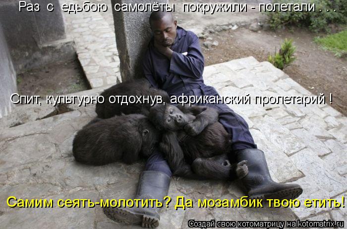 Самим сеять-молотить? Да мозамбик твою етить! Раз с едьбою самолёты покружили - полетали . . . Сп... Котоматрица: Самим сеять-молотить? Да мозамбик твою етить! Раз с едьбою самолёты покружили - полетали . . . Спит, культурно отдохнув, африканский пролета