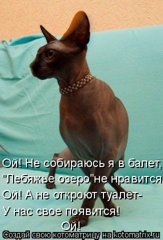 Ой! Не собираюсь я в балет, "Лебяжье озеро"не нравится Ой! А не откроют туалет- У нас свое появится! ... Котоматрица: Ой! Не собираюсь я в балет, "Лебяжье озеро"не нравится Ой! А не откроют туалет- У нас свое появится! Ой!