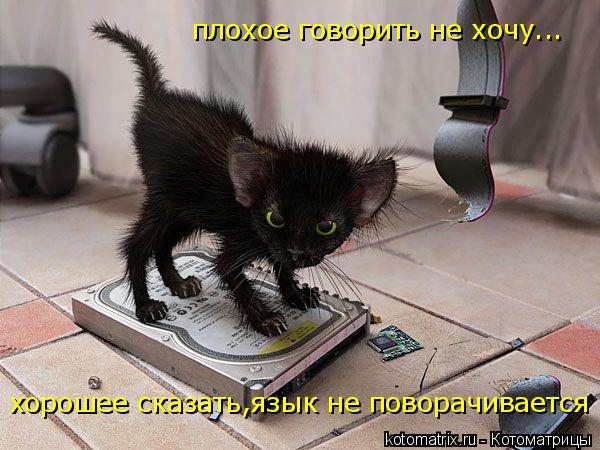 Котоматрица: хорошее сказать,язык не поворачивается  плохое говорить не хочу...