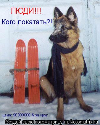 ЛЮДИ!!! Кого покатать?! цена: 90000000 $ за круг... Котоматрица: ЛЮДИ!!! Кого покатать?! цена: 90000000 $ за круг